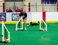 AKC World Agility Trial 2014 Ringside Candids