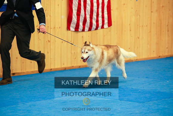 2022-KathleenRileyPhotography-6437