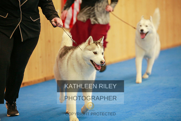 2022-KathleenRileyPhotography-6089