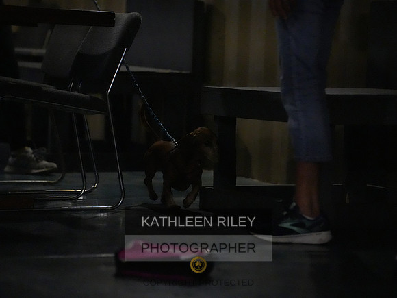 2022-KathleenRileyPhotography139