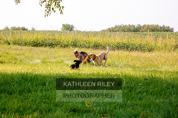 2022-KathleenRileyPhotography-5529