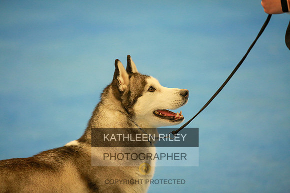 2022-KathleenRileyPhotography-6429