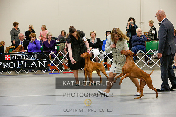 2022-KathleenRileyPhotography-5894
