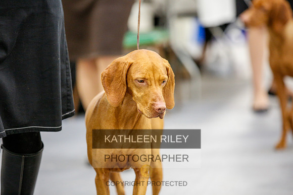 2022-KathleenRileyPhotography-2332