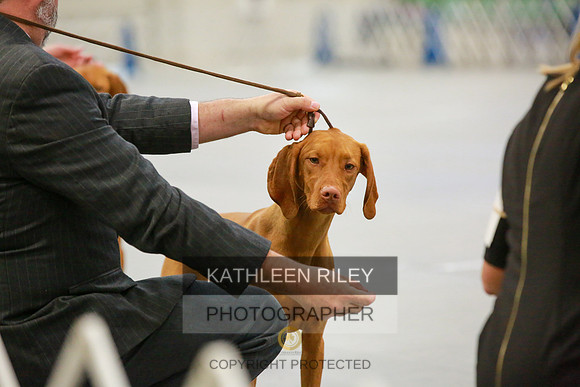 2022-KathleenRileyPhotography-8530