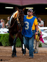 Canterbury Park Thoroughbred Horse Racing 16 Aug 2014
