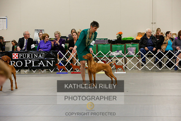 2022-KathleenRileyPhotography-5824