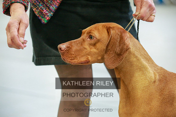 2022-KathleenRileyPhotography-8818