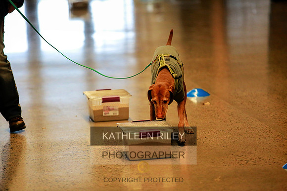 2022-KathleenRileyPhotography-7271 (1)