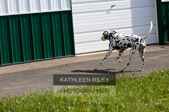 2022-KathleenRileyPhotography-9793
