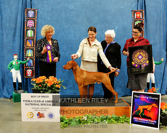 2022-KathleenRileyPhotography-7406 (1)