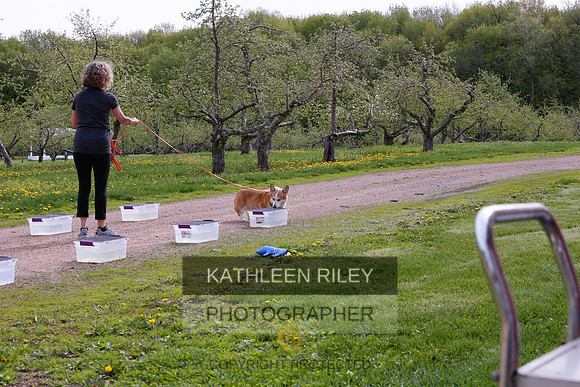 2022-KathleenRileyPhotography-8486