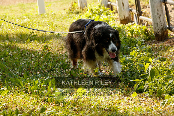 2022-KathleenRileyPhotography-0181