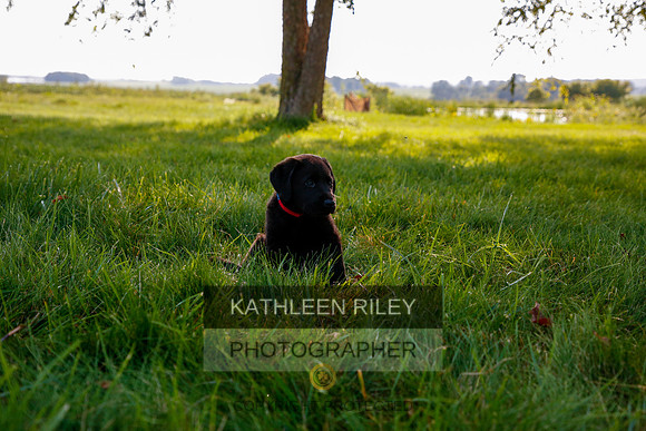 2022-KathleenRileyPhotography-5610