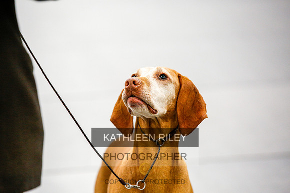 2022-KathleenRileyPhotography-2414