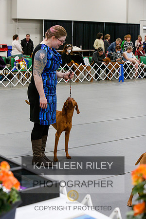 2022-KathleenRileyPhotography-7157