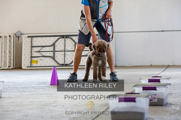 2022-KathleenRileyPhotography-9477