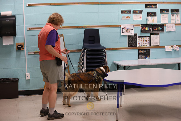 SJLT7374