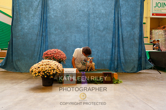 2022-KathleenRileyPhotography-5860