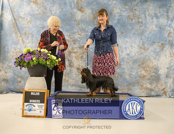 KARD1414