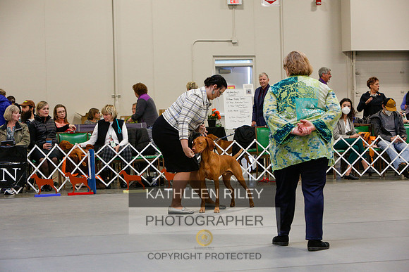 2022-KathleenRileyPhotography-2345