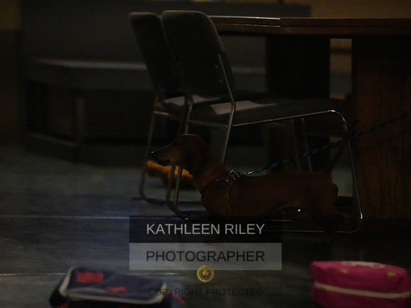 2022-KathleenRileyPhotography144