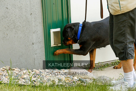 2022-KathleenRileyPhotography-0321