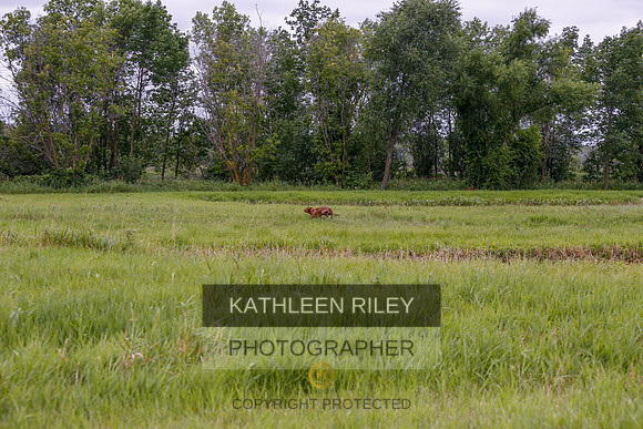2022-KathleenRileyPhotography-3407