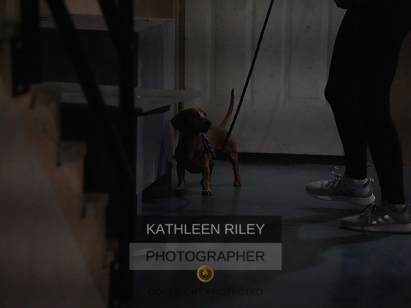 2022-KathleenRileyPhotography153
