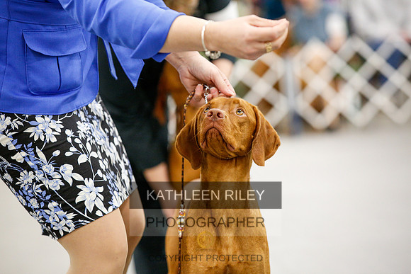 2022-KathleenRileyPhotography-1713