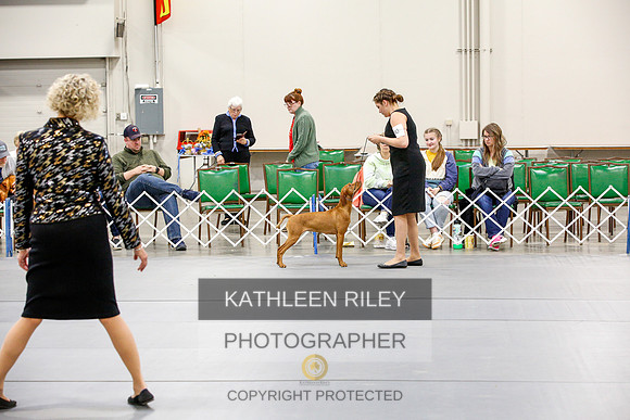 2022-KathleenRileyPhotography-2432