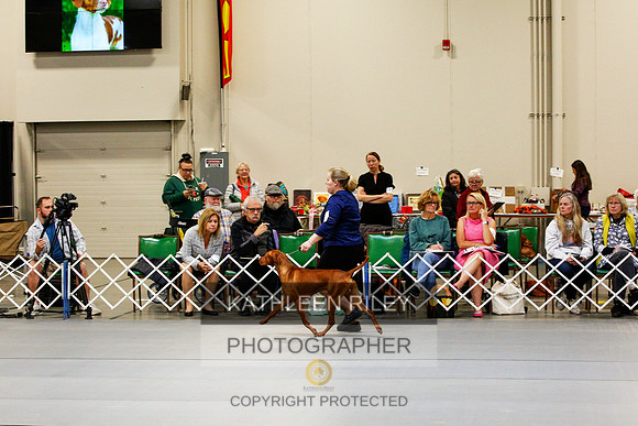 2022-KathleenRileyPhotography-0956 (1)