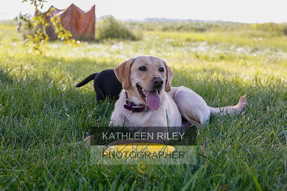 2022-KathleenRileyPhotography-7929