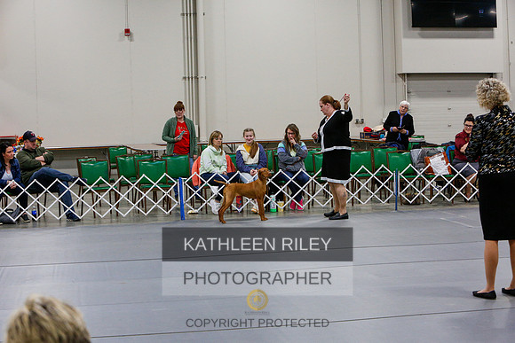 2022-KathleenRileyPhotography-7377