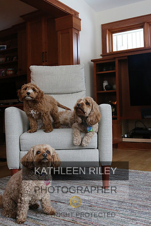 2022-KathleenRileyPhotography-1149