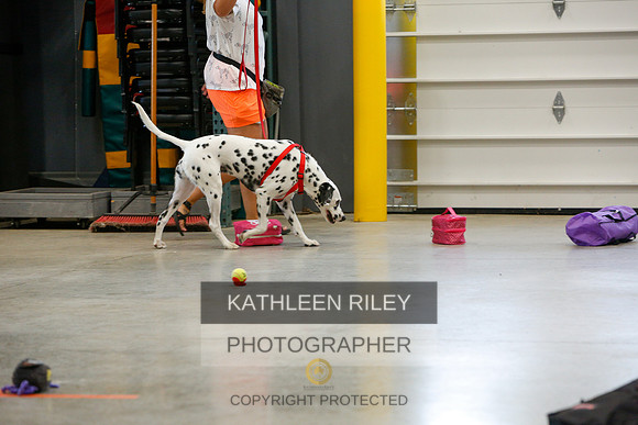 2022-KathleenRileyPhotography-4863
