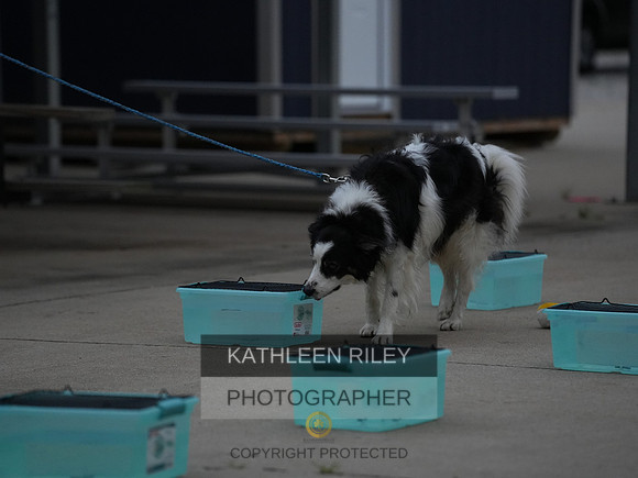2022-KathleenRileyPhotography027