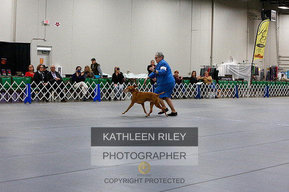 2022-KathleenRileyPhotography-1364