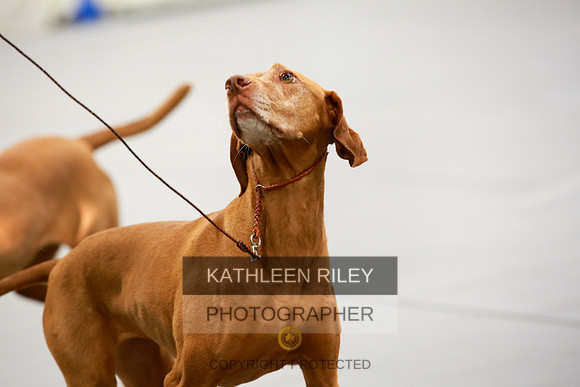 2022-KathleenRileyPhotography-8146