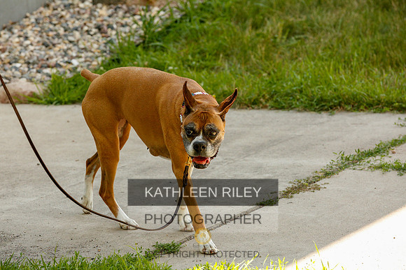 2022-KathleenRileyPhotography-0330