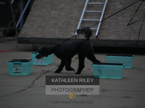 2022-KathleenRileyPhotography241