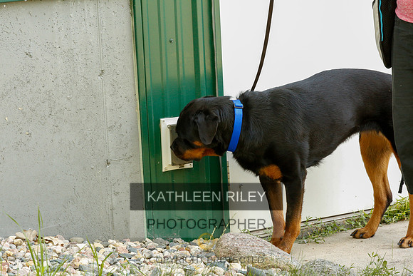 2022-KathleenRileyPhotography-0319