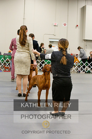 2022-KathleenRileyPhotography-5634