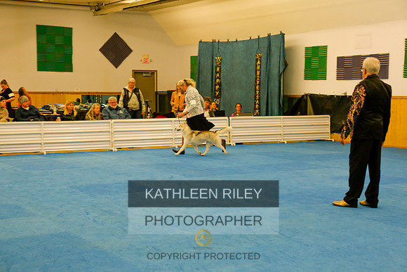 2022-KathleenRileyPhotography-8451