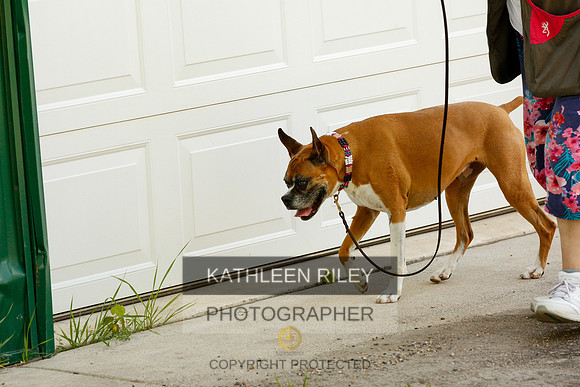 2022-KathleenRileyPhotography-0326