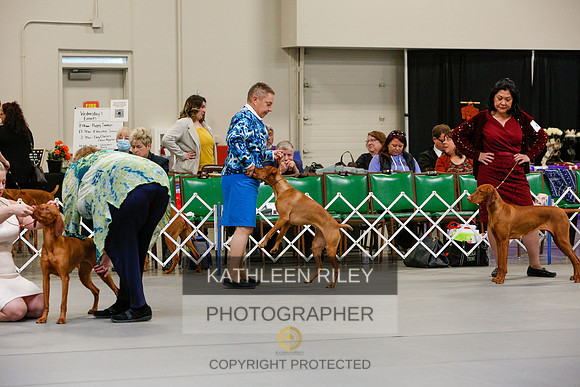 2022-KathleenRileyPhotography-2503