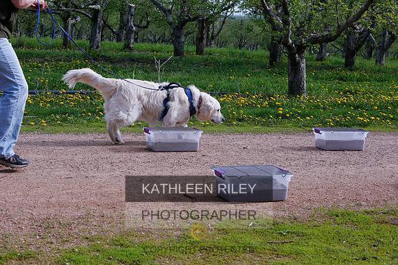 2022-KathleenRileyPhotography-8347