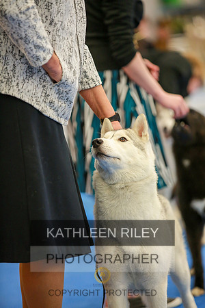 2022-KathleenRileyPhotography-5312