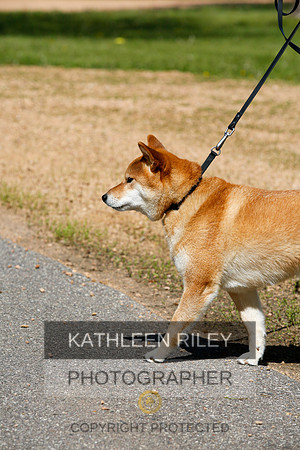 2022-KathleenRileyPhotography-4233