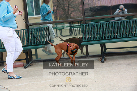 2022-KathleenRileyPhotography-7610